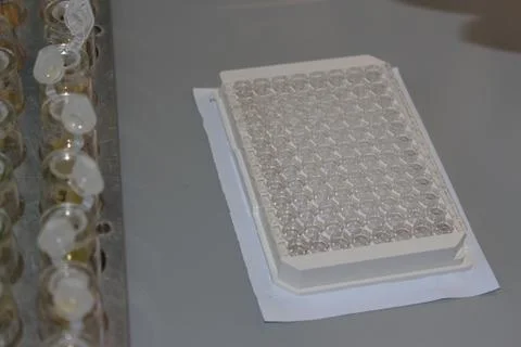 In the biochemical laboratory Foto stock