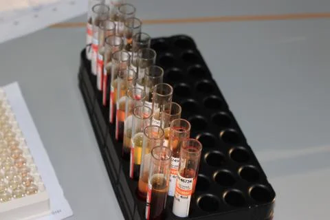 In the biochemical laboratory Foto stock