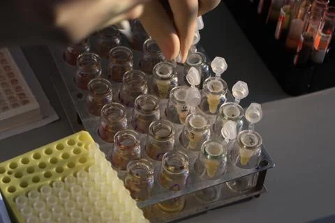 In the biochemical laboratory Foto stock