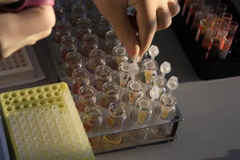In the biochemical laboratory Stock-Fotos