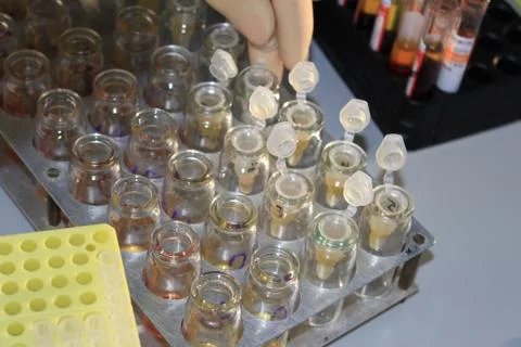 In the biochemical laboratory Foto stock