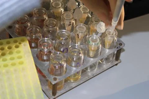 In the biochemical laboratory Stock-Fotos