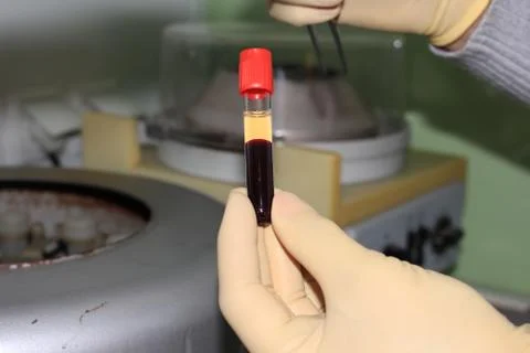 In the biochemical laboratory Stock Photos
