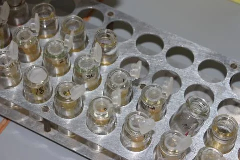 In the biochemical laboratory Stock Photos