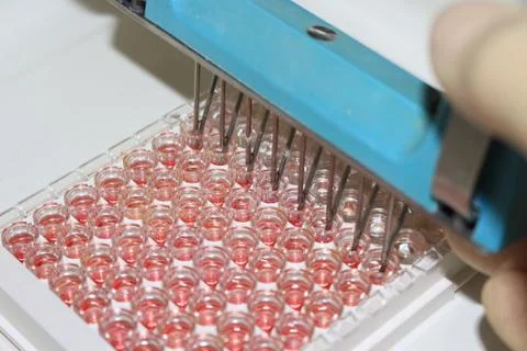 In the biochemical laboratory Foto stock