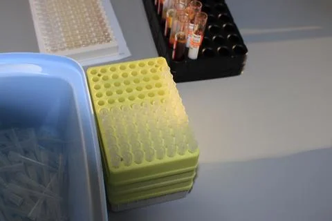 In the biochemical laboratory Stock-Fotos