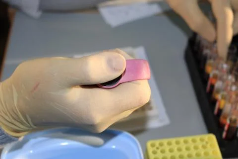 In the biochemical laboratory Foto stock