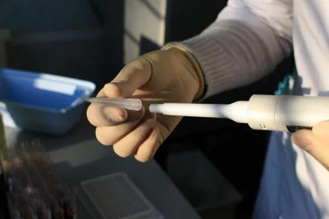 In the biochemical laboratory Foto stock