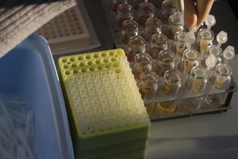 In the biochemical laboratory Foto stock