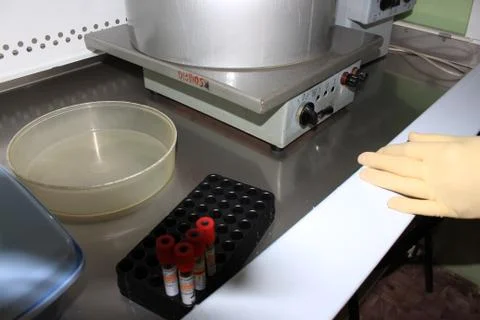 In the biochemical laboratory Stock Photos