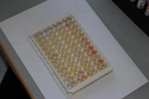 In the biochemical laboratory Stock Photos