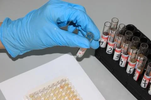 In the biochemical laboratory Foto stock