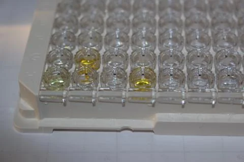 In the biochemical laboratory Foto stock