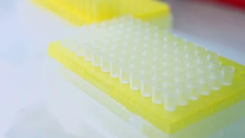 Biochemical laboratory. tubes in rack Stock Footage 70387809