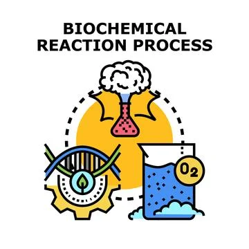 Biochemical reaction process transforming organic molecular structures Illustrazione stock