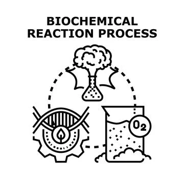 Biochemical reaction process transforming organic molecular structures Illustrazione stock