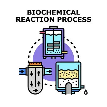 Biochemical reaction process vector concept Stock Illustration