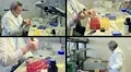 biochemist composition HD Footage