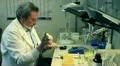 biochemist working in a laboratory HD Footage