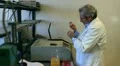 biochemist working in a laboratory HD Footage