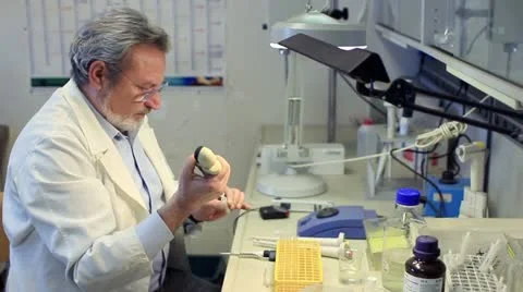 Biochemist  working  in a laboratory Video stock 21256995