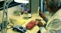 biochemistry HD Footage