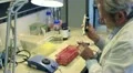 biochemistry HD Footage