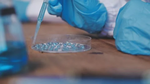 Biochemistry, scientist pipetting a sample into a test tube during an exper.. Stock Footage 290060009