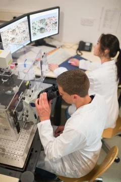 Biochemistry students using large microscope and computer 스톡 사진