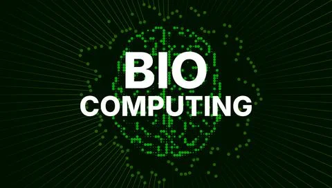 Biocomputing Concept with Digital Brain Made of Green Dots and Circuit Lines on Stock Illustration