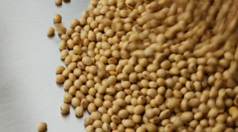 Biocorn3 스톡 동영상 937060