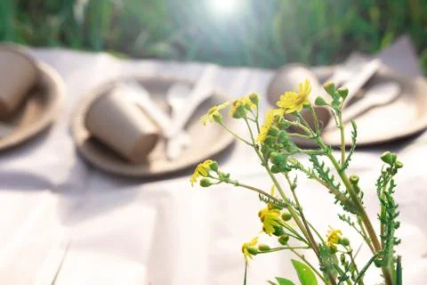 Biodegradable disposable tableware in defocus on the background of  flowers. Stock Photos