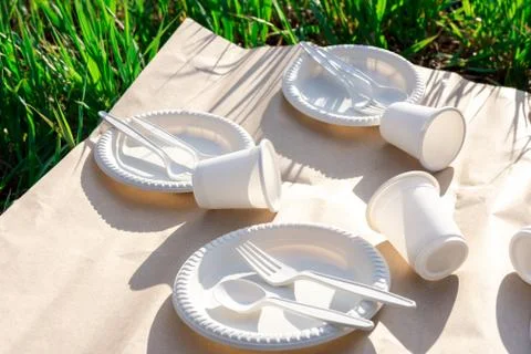 Biodegradable disposable tableware from environmentally friendly materials. Foto stock