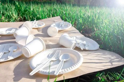 Biodegradable disposable tableware from environmentally friendly materials. Stock Photos