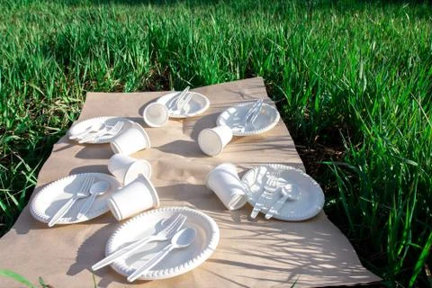 Biodegradable disposable tableware from environmentally friendly materials. Stock Photos