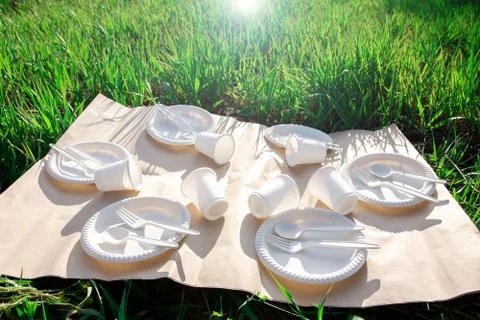 Biodegradable disposable tableware made from environmentally friendly materials. Stock Photos