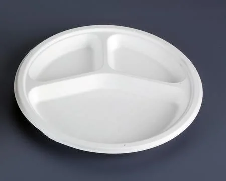 BIODEGRADABLE DISPOSABLE TABLEWARE PLATES Bagasse products Stock-Fotos
