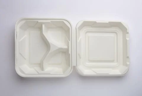 BIODEGRADABLE DISPOSABLE TABLEWARE PLATES lunch box Bagasse products Stock Photos
