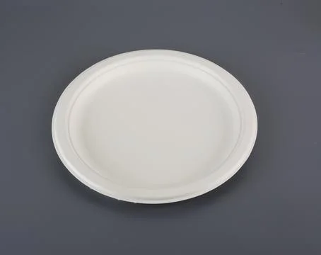 BIODEGRADABLE DISPOSABLE TABLEWARE PLATES Stock Photos