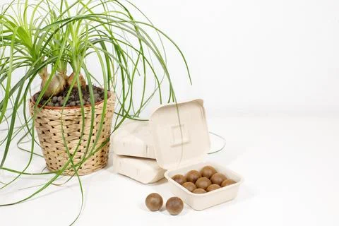 Biodegradable eco-friendly coffee capsule pods in a cardboard box next to a h Fotos de archivo