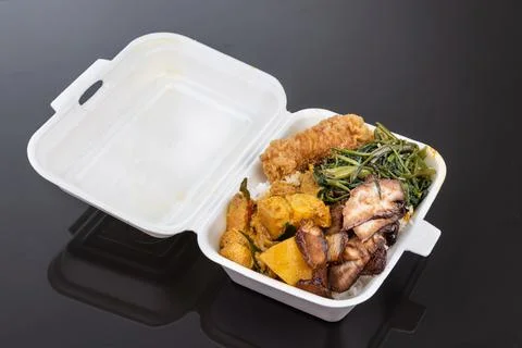 Biodegradable lunch box with rice, vegetable and food, convenient for food Stock Photos