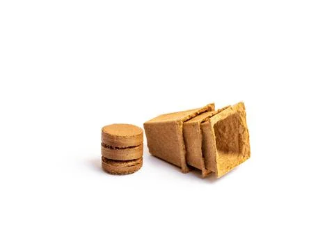 Biodegradable peat pots, peat tablets isolated on white background. Stock Photos