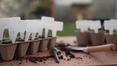 Biodegradable pots and labels for sowing seeds Stock Footage 332875342