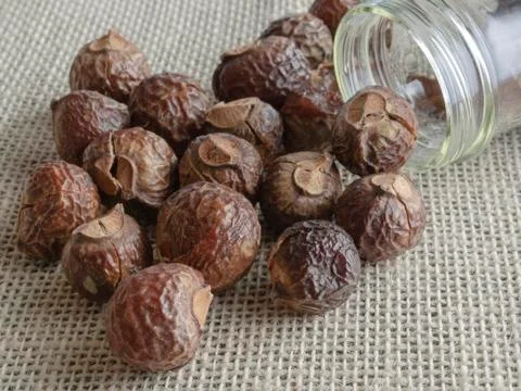 Biodegradable Soap Nuts 스톡 사진