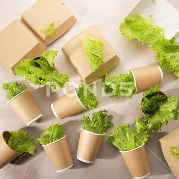 Biodegradable tableware and greens. The concept of zero waste. Stock Photos