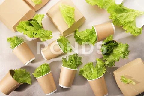 Biodegradable tableware and greens. The concept of zero waste. Stock Photos
