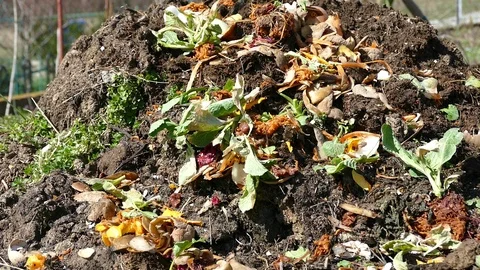 Biodegradable Waste - Organic Waste - Compost Video stock 87250864