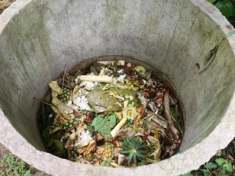 Biodegradable waste Foto stock