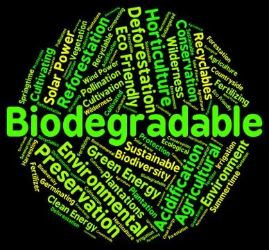 Biodegradable Word Means Degrade Biodegradation And Decompose Stock Illustration