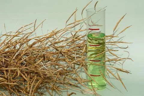 Biodiesel Stock Photos